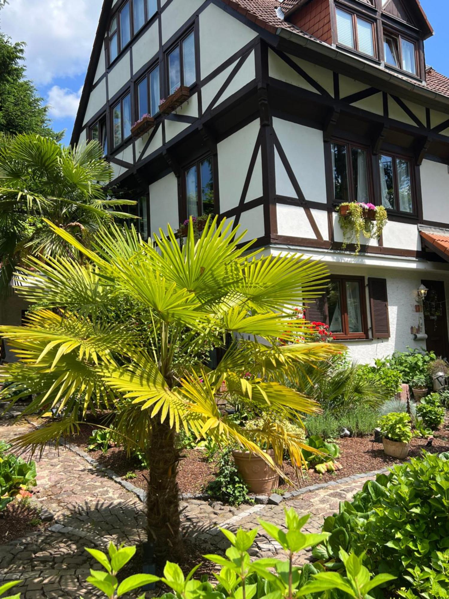 Einliegerwohnung In Einer Muehle Vor Den Toren Frankfurts, Ideal Fuer Messegaeste Oder Stop Over 드라이아이히 외부 사진